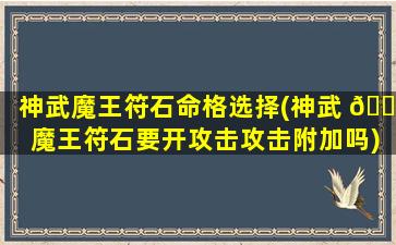 神武魔王符石命格选择(神武 🌾 魔王符石要开攻击攻击附加吗)